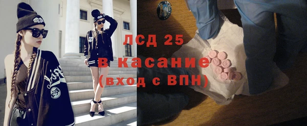 PSILOCYBIN Алзамай