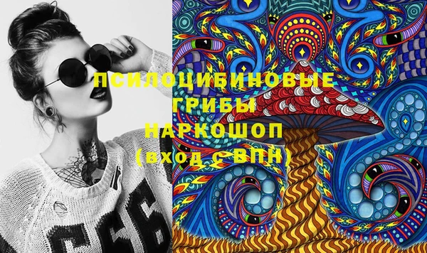 PSILOCYBIN Алзамай