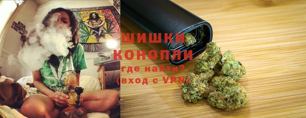 a pvp Новозыбков