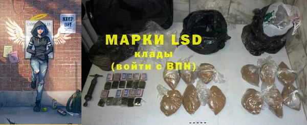 PSILOCYBIN Алзамай